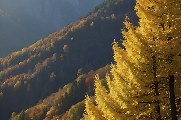 PSD belas paisagens de montanhas e florestas no outono