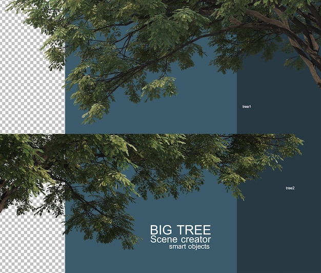 Bella grande albero rami in primo piano