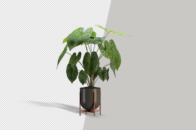 Bella pianta 3d rendering isolato