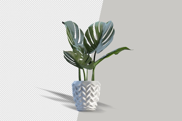 Bella pianta in vaso rendering 3d