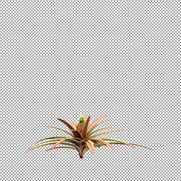 Bella pianta isolata in rendering 3D