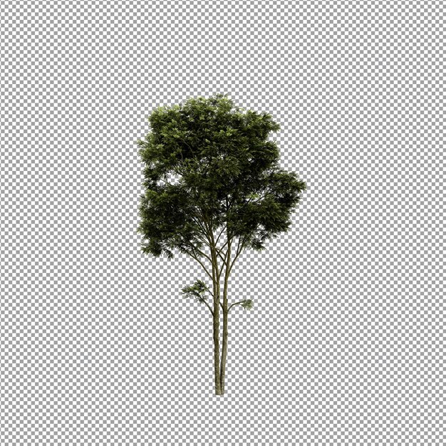 Bella pianta isolata in rendering 3D