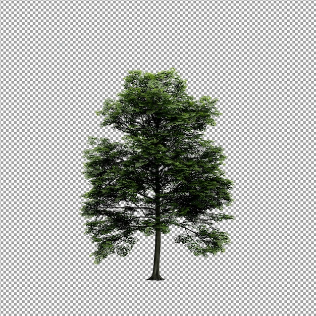 Bella pianta isolata in rendering 3D