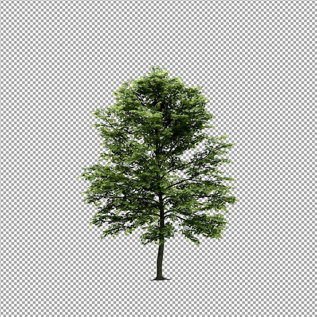 Bella pianta isolata in rendering 3D