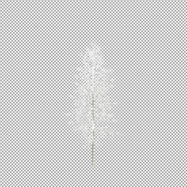 Bella pianta isolata in rendering 3D
