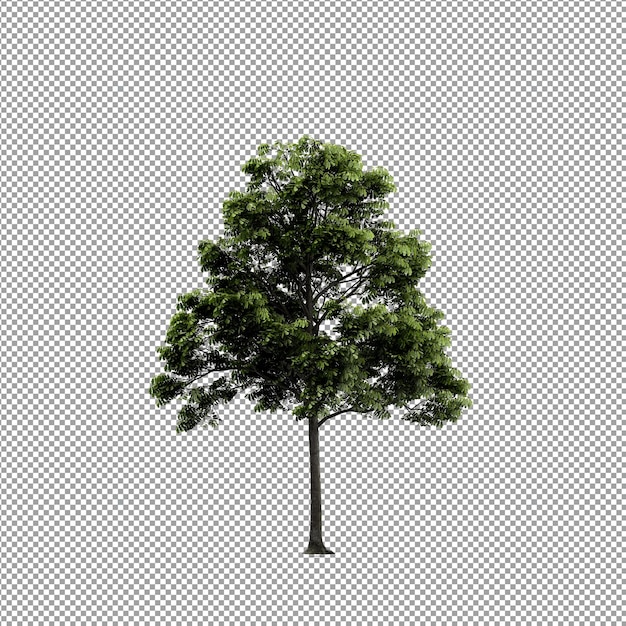 Bella pianta isolata in rendering 3D