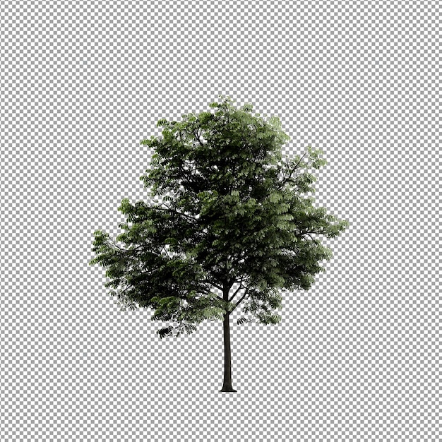 Bella pianta isolata in rendering 3D