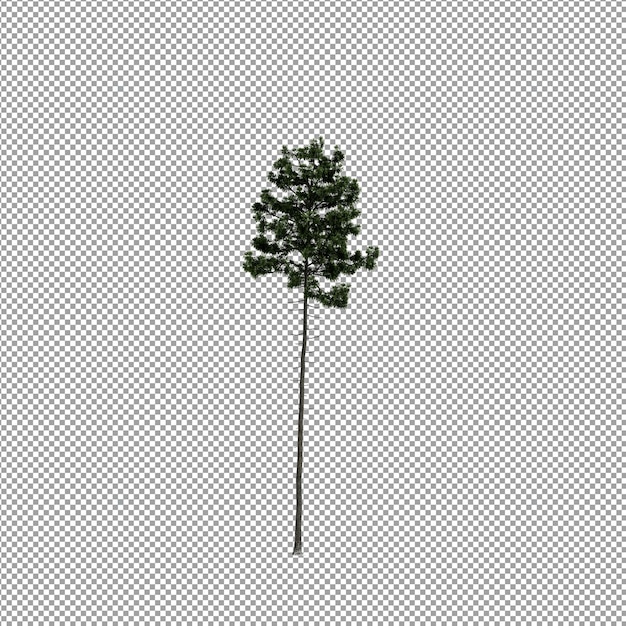 Bella pianta isolata in rendering 3D