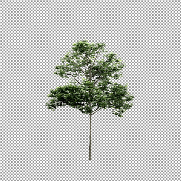 Bella pianta isolata in rendering 3D