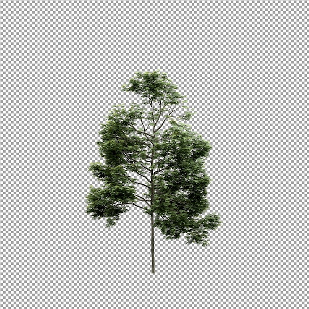 Bella pianta isolata in rendering 3D