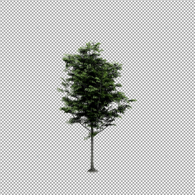 Bella pianta isolata in rendering 3D