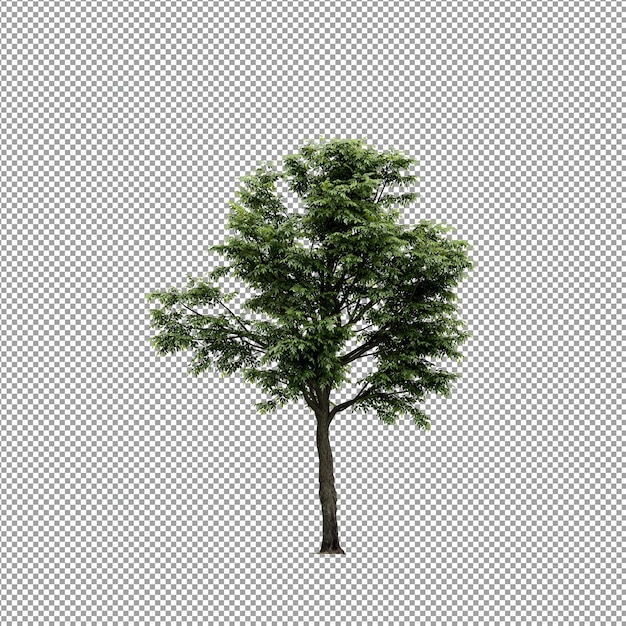 Bella pianta isolata in rendering 3D