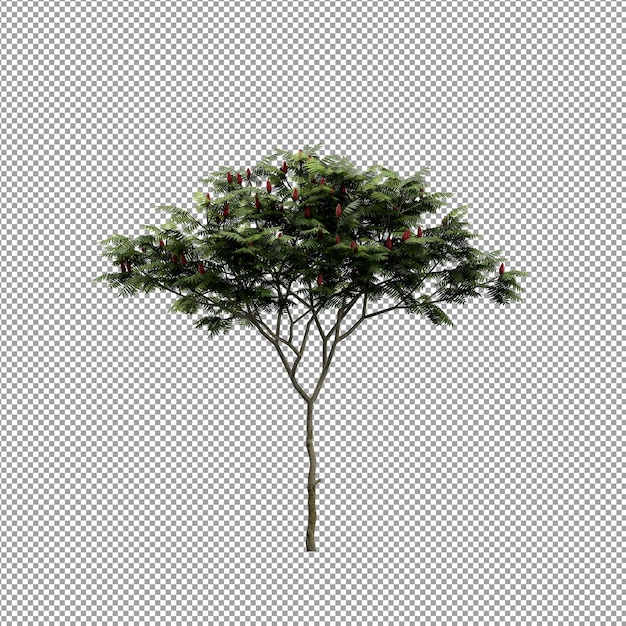 Bella pianta isolata in rendering 3D