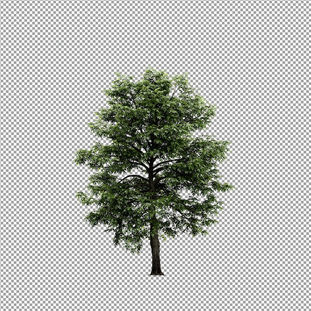 Bella pianta isolata in rendering 3D