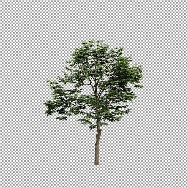 Bella pianta isolata in rendering 3D