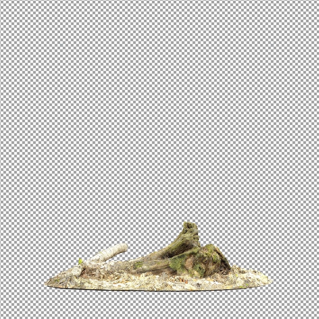 Bella pianta isolata in rendering 3D