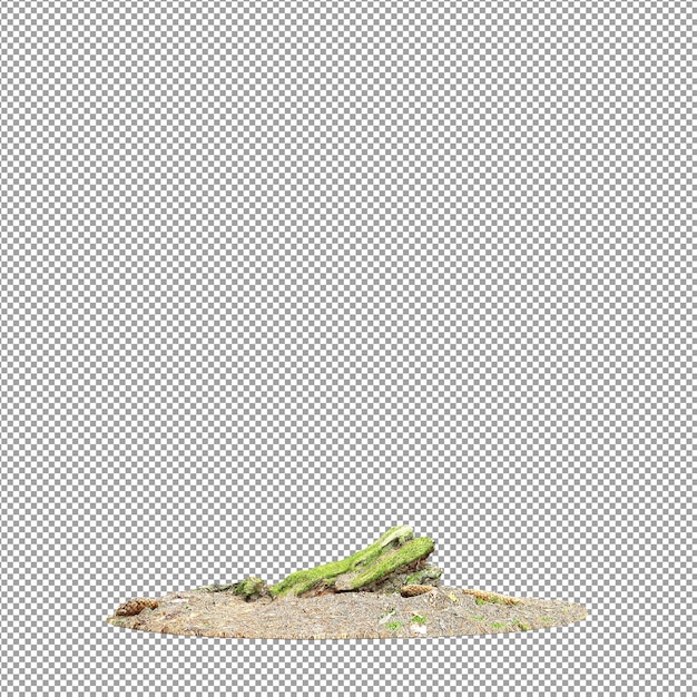 Bella pianta isolata in rendering 3D