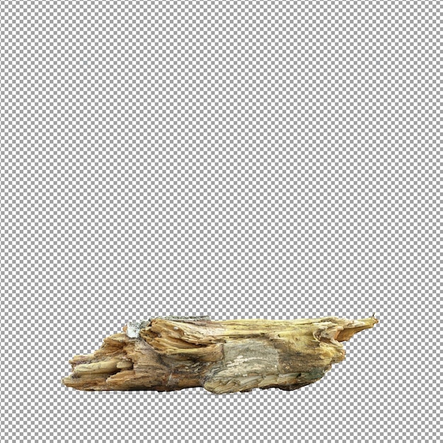 Bella pianta isolata in rendering 3D