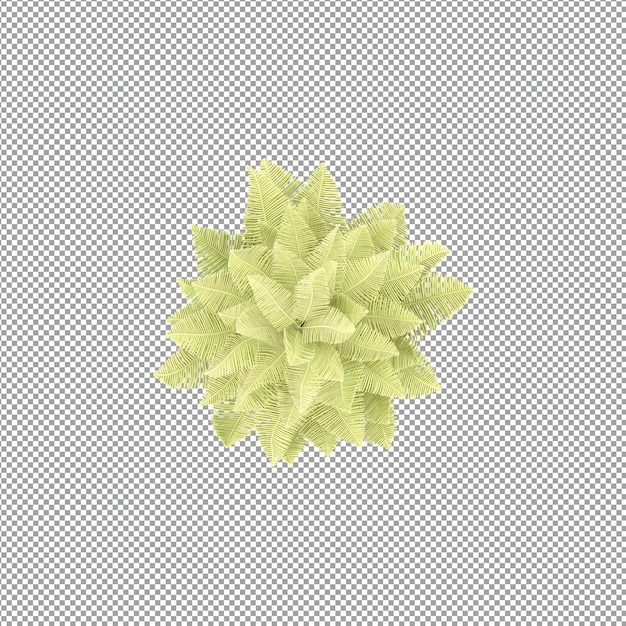 Bella pianta isolata in rendering 3D
