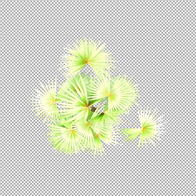 Bella pianta isolata in rendering 3D