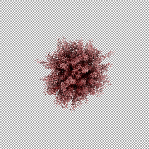 Bella pianta isolata in rendering 3D