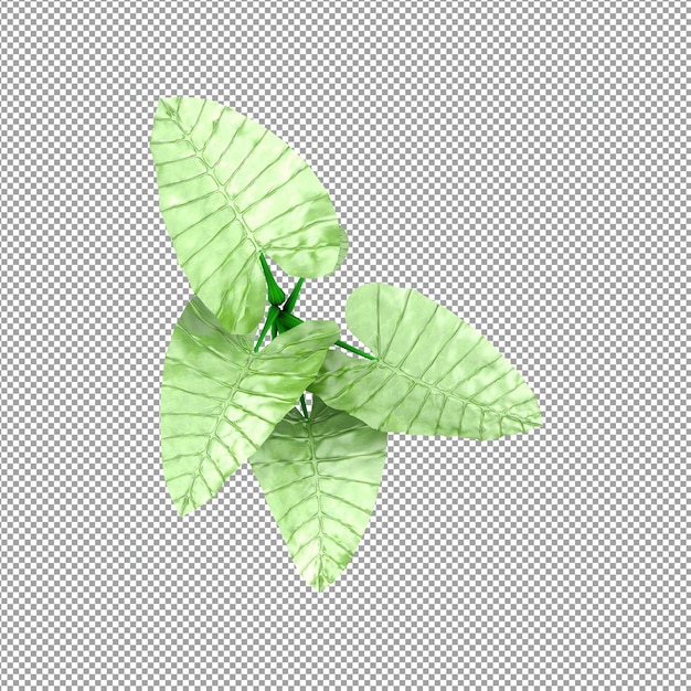 Bella pianta isolata in rendering 3D