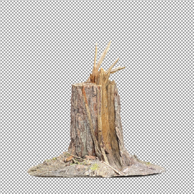Bella pianta isolata in rendering 3D