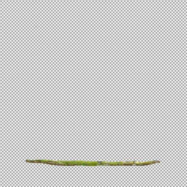 Bella pianta isolata in rendering 3D