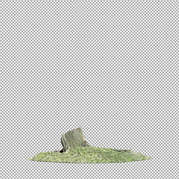 Bella pianta isolata in rendering 3D