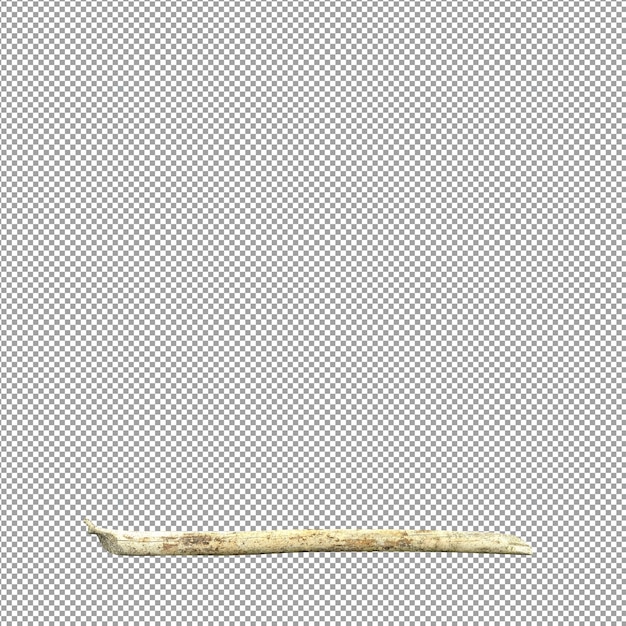 Bella pianta isolata in rendering 3D