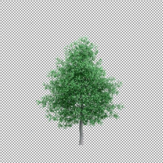 Bella pianta isolata in rendering 3D
