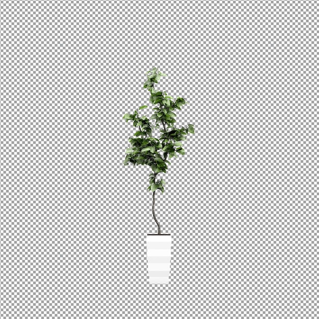 Bella pianta isolata in rendering 3D