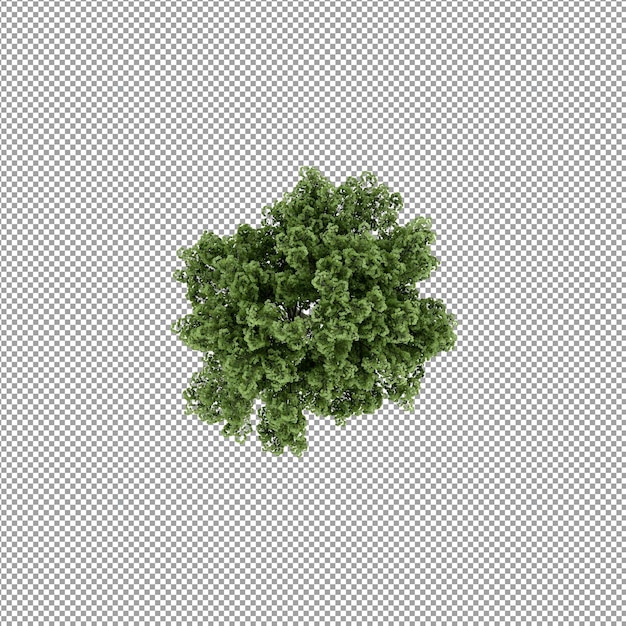 Bella pianta isolata in rendering 3D