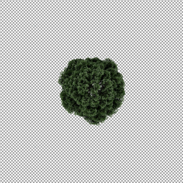Bella pianta isolata in rendering 3D
