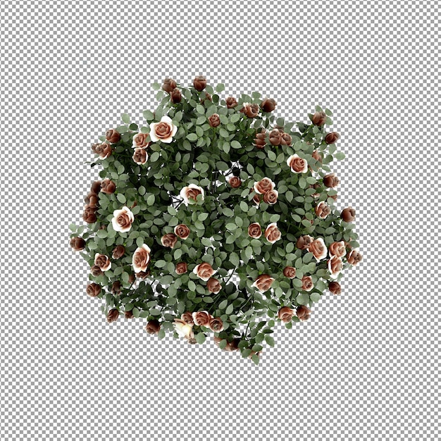 Bella pianta isolata in rendering 3D