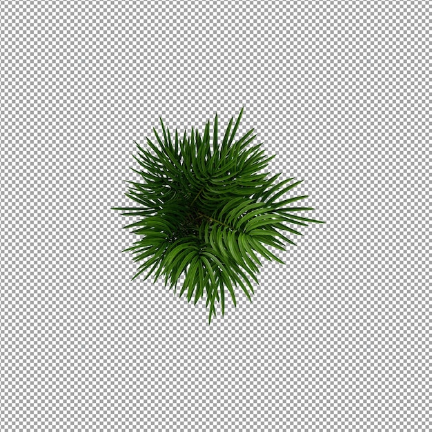 Bella pianta isolata in rendering 3D