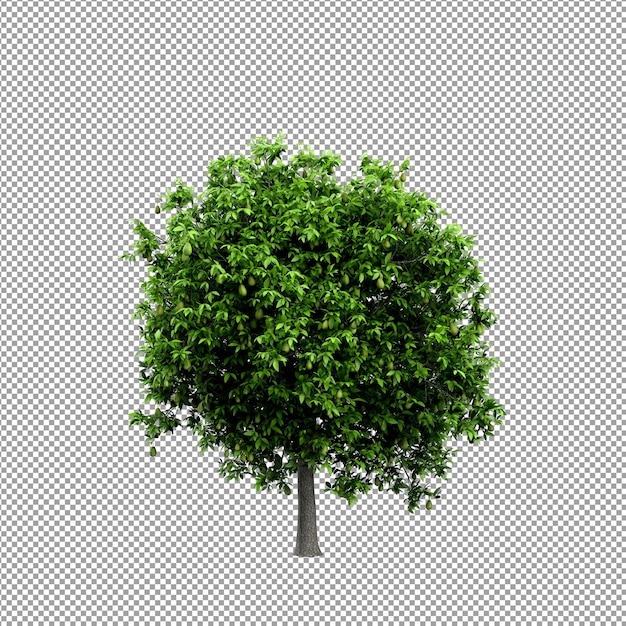 Bella pianta isolata in rendering 3D
