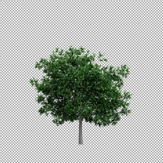 Bella pianta isolata in rendering 3D