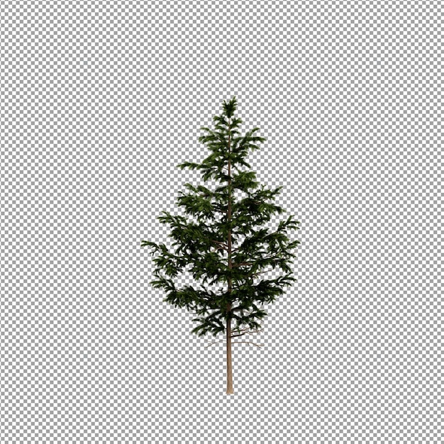 Bella pianta isolata in rendering 3D
