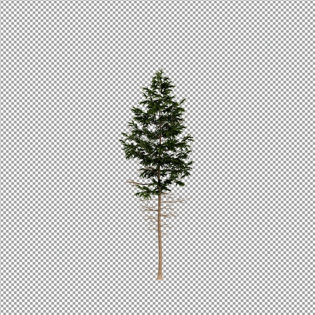 Bella pianta isolata in rendering 3D