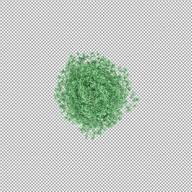 Bella pianta isolata in rendering 3D