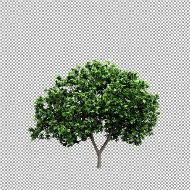 Bella pianta isolata in rendering 3D