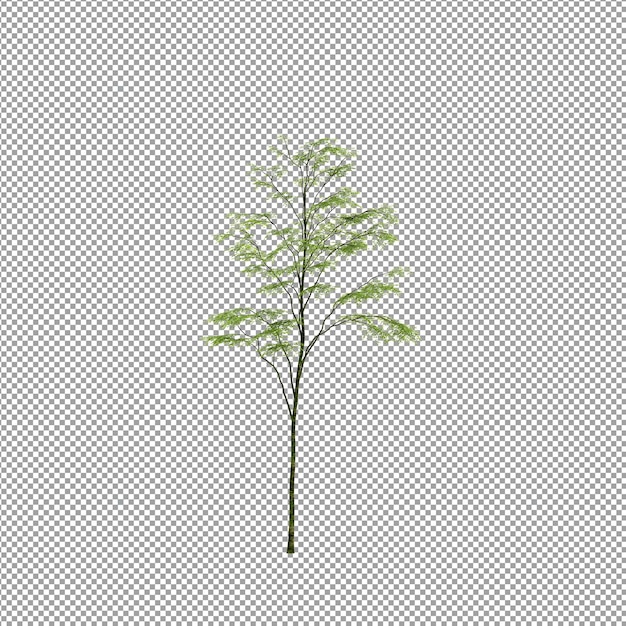 Bella pianta isolata in rendering 3D