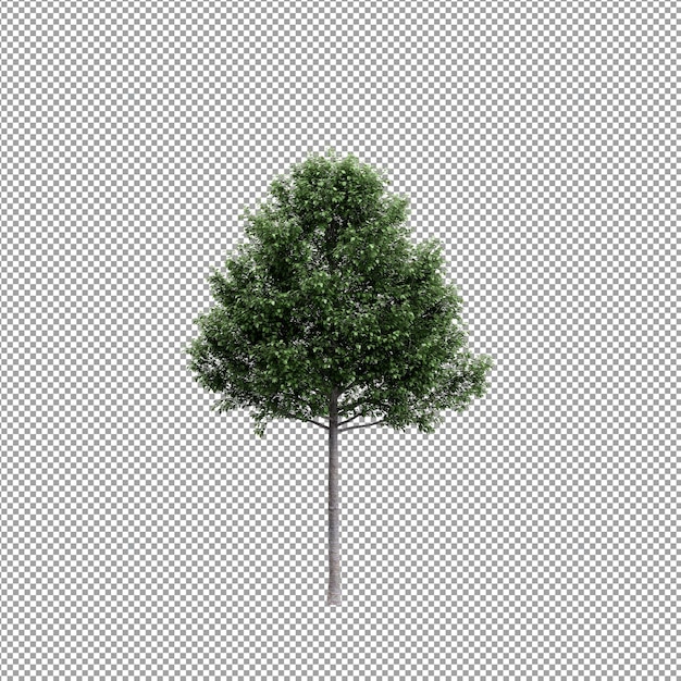 Bella pianta isolata in rendering 3D