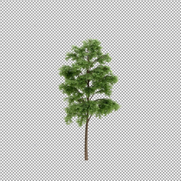 Bella pianta isolata in rendering 3D
