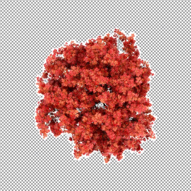 Bella pianta isolata in rendering 3D