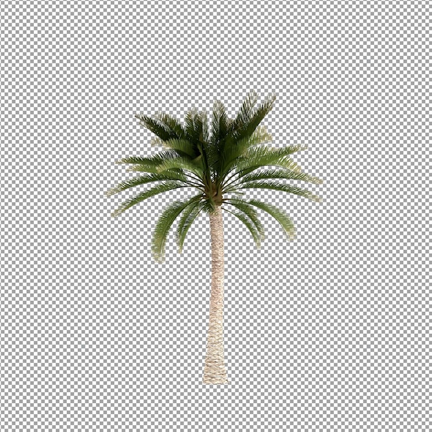 Bella pianta isolata in rendering 3D
