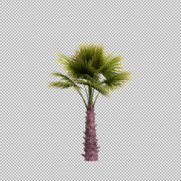 Bella pianta isolata in rendering 3D
