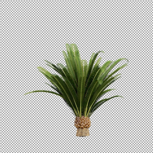 Bella pianta isolata in rendering 3D