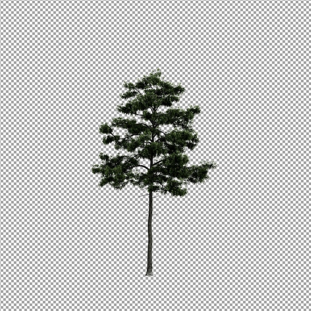 Bella pianta nel rendering 3d isolato